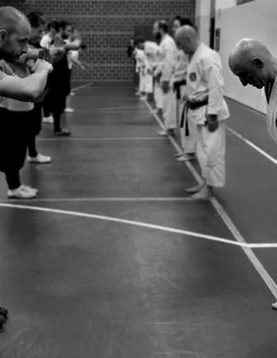 Nekobukai. Scuole di karate e kung-fu si salutano rispettosamente